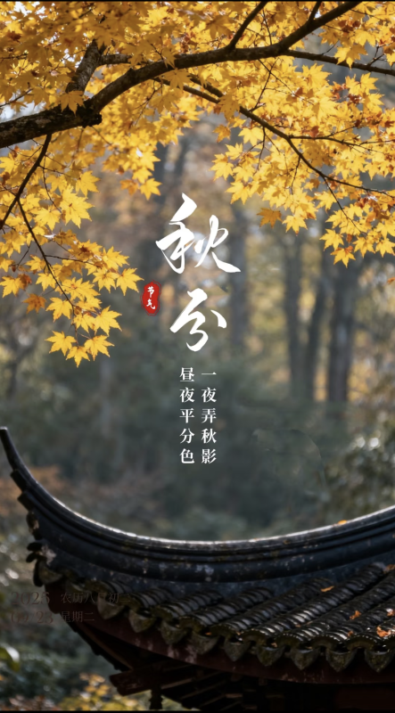 天高云淡处，人间好时节-东方回响