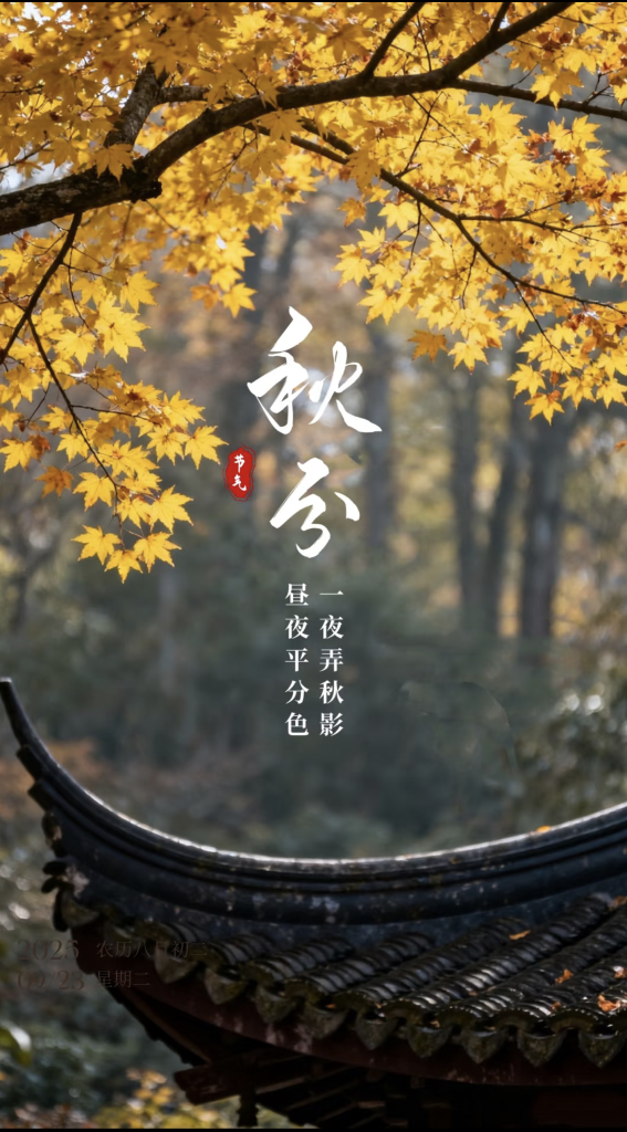 图片[1]-天高云淡处，人间好时节-东方回响
